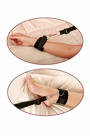 PD2153-23_3 PD2153-23_3